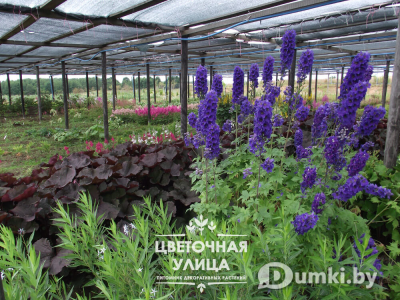 Фото компании