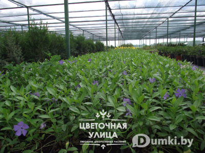 Фото компании