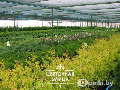 Фото компании