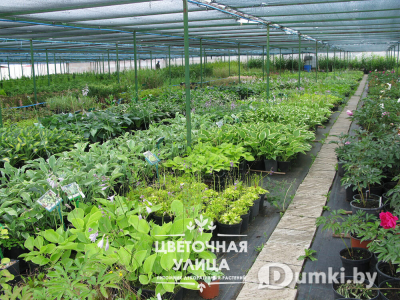 Фото компании