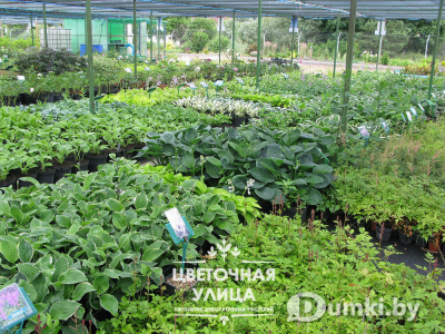 Фото компании