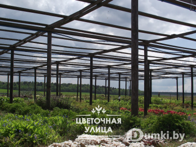 Фото компании