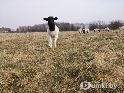 Фото компании