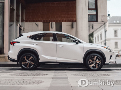 Фото компании