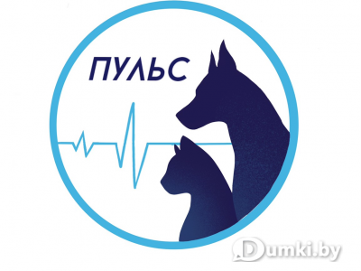 Фото компании