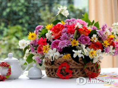 Фото компании