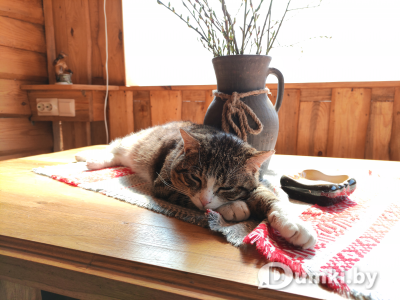 Фото компании