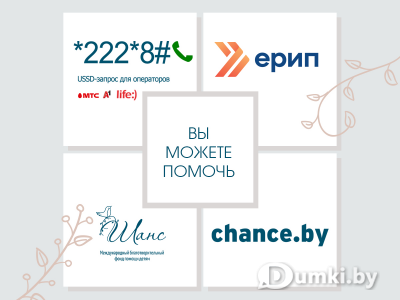 Фото компании