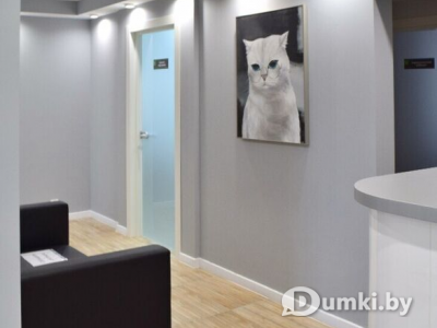 Фото компании