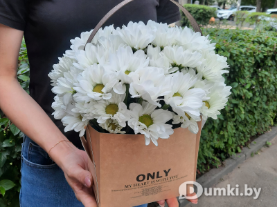 Фото компании