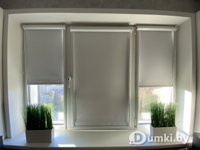 Фото компании