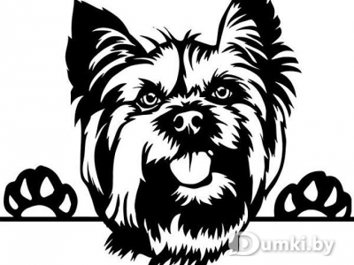 Фото компании