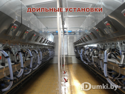 Фото компании