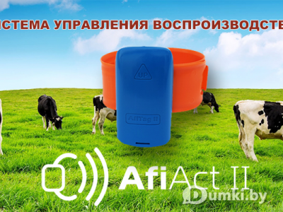 Фото компании