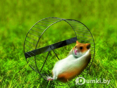 Фото компании