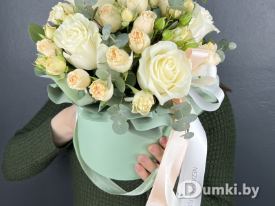 Фото компании