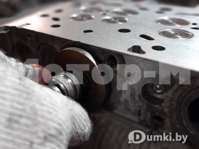 Фото компании