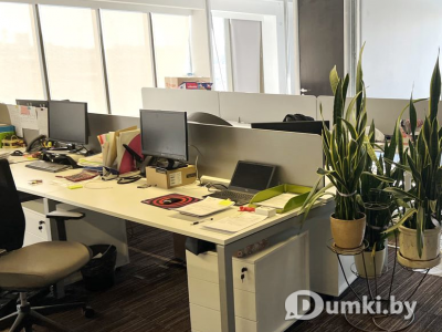 Фото компании