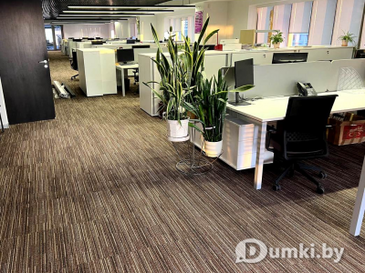 Фото компании