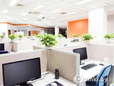 Фото компании