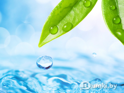 Фото компании